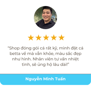 Aquarium Vibe 17 Ảnh đánh giá của khách hàng về aquarium vibe 1