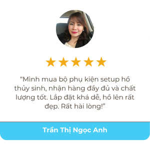 Aquarium Vibe 18 Ảnh đánh giá của khách hàng về aquarium vibe 2