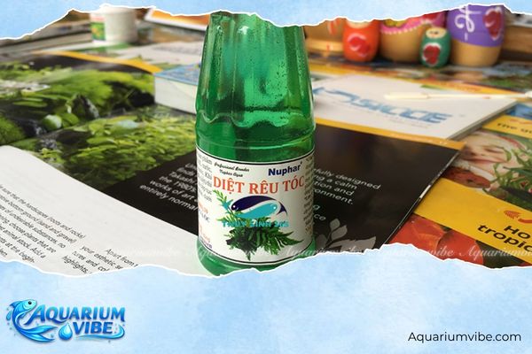 8 Cách diệt rêu tóc trong bể thủy sinh đơn giản, hiệu quả 7 Sử dụng thuốc đặc trị là cách diệt rêu tóc triệt để