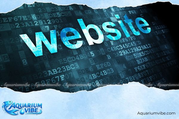 Chính sách bảo mật 3 Chính sách bảo mật AquariumVibe