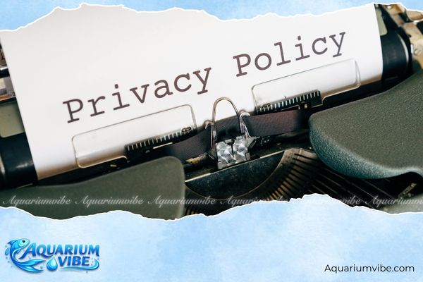 Chính sách đổi trả hàng và hoàn tiền 4 chính sách hoàn trả AquariumVibe