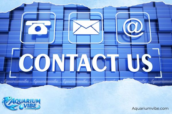 Liên hệ 3 Cách thức liên hệ AquariumVibe