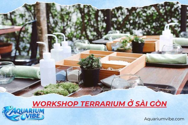 workshop terrarium ở sài gòn