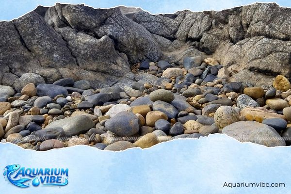 Đá cuội 1 Đá cuội được hình thành từ quá trình bào mòn tự nhiên của nước