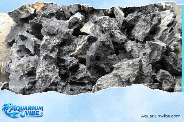 Đá kẹp kem 2 Đá kẹp kem không làm thay đổi pH nước, không gây hại cho cá