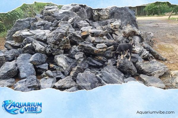 Đá lũa đen 2 Đá thủy sinh lũa đen có độ cứng tốt, giữ được form khi xếp bố cục lớn