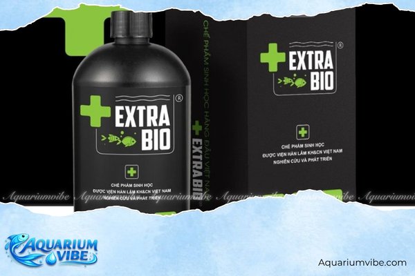 Cách làm hồ thủy sinh bằng thùng xốp chuẩn kỹ thuật, nước trong 7 Bước 6: Châm vi sinh nuôi nước