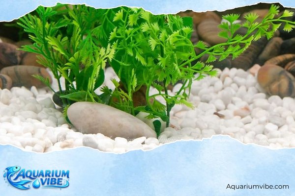 4 Cách trải nền hồ thủy sinh chuẩn kỹ thuật, đẹp, dễ làm tại nhà 5 Cách trải nền hồ thủy sinh - Sử dụng lớp nền sỏi