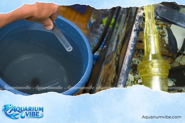 Cách trị rêu tảo nâu trong bể thủy sinh hiệu quả chỉ sau vài ngày 6 Không nên thay nước quá nhiều trong một lần để tránh hệ vi sinh bị rối loạn
