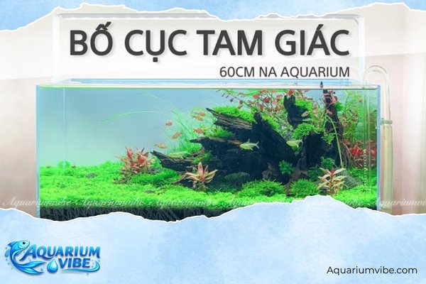 Layout Nature thủy sinh và quy tắc bố cục chuẩn tự nhiên 4 Bố cục tam giác trong Layout Nature thủy sinh