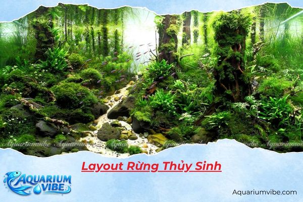 Cách thiết kế layout rừng thủy sinh đẹp và dễ làm tại nhà | Aquariumvibe