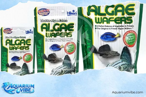 Algae Wafers 1 Algae Wafers là sản phẩm thức ăn thủy sinh thuộc thương hiệu Hikari - Nhật Bản