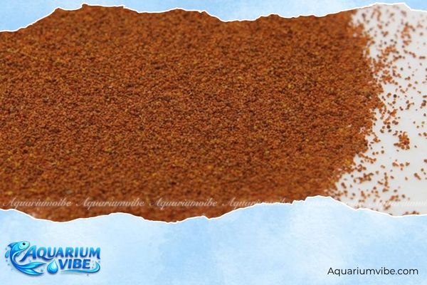 Artemia Mỹ 4 Cách sử dụng và bảo quản Artemia Mỹ