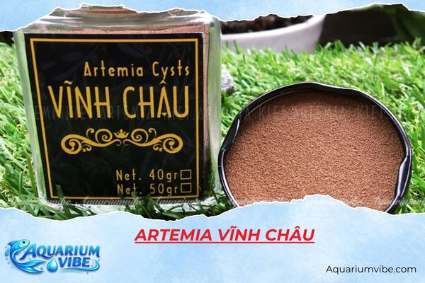 artemia-vinh-chau Artemia Vĩnh Châu