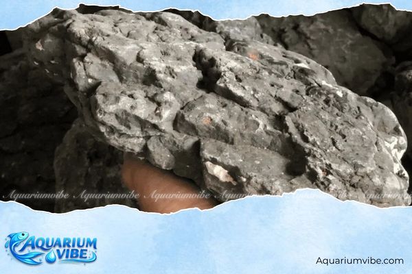 Đá Phan Thiết 4 Đá Phan Thiết thủy sinh có thể kết hợp chung với lũa thủy sinh tự nhiên