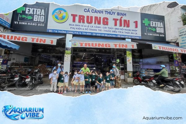 Top 6 Shop cá 7 màu TPHCM đẹp, giá rẻ và uy tín nhất 4 Cá Cảnh Thủy Sinh Trung Tín