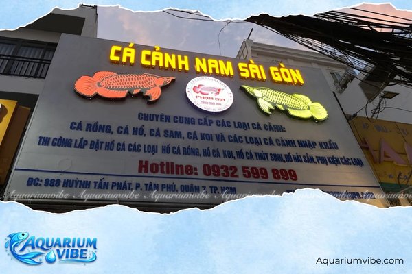 Top 6 Shop cá 7 màu TPHCM đẹp, giá rẻ và uy tín nhất 6 Cá Cảnh Nam Sài Gòn