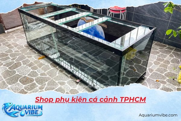 Top 5 shop phụ kiện cá cảnh TPHCM uy tín, giá tốt nhất 2026