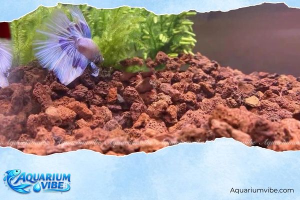 Đá nham thạch 3 Đá nham thạch được ứng dụng làm lớp lót nền trong hồ aqarium để tăng lưu thông nước và oxy