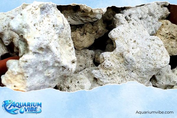 Đá san hô 1 Đá san hô được hình thành từ khung xương san hô cứng được khoáng hóa