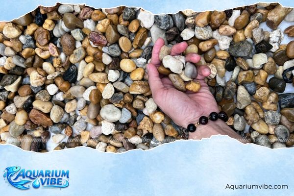 Sạn suối 2 Sạn đá an toàn, ít ảnh hưởng pH, không chứa chất độc hại đối với cá tép thủy sinh