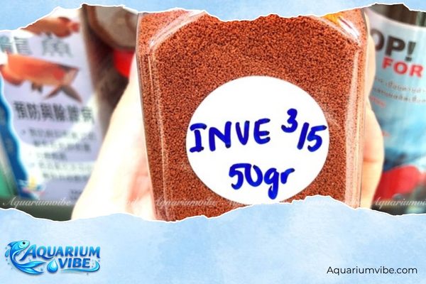 Thức ăn cá bảy màu 1 Cám Thái INVE cho cá bảy màu